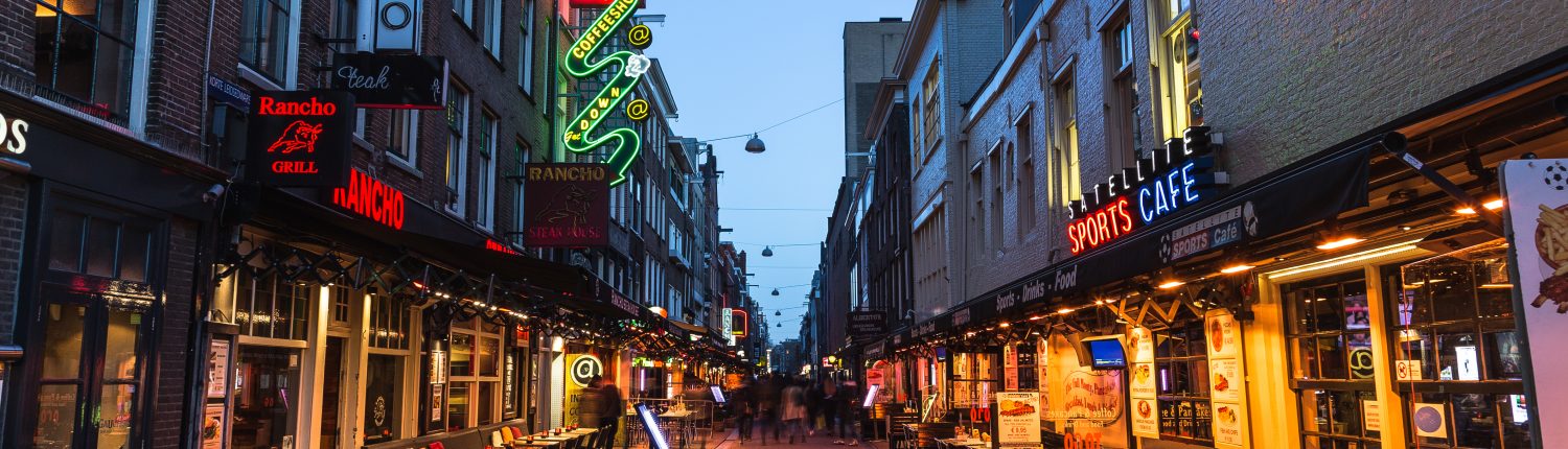 (Where To Buy) Amsterdam's smartshops often sell Salvia.